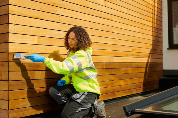 Best Fiber Cement Siding Installation  in Lamesa, TX